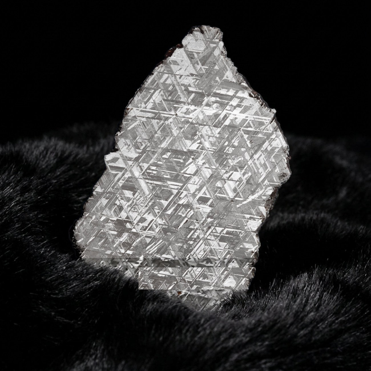 Muonionalusta meteorite, macro detail