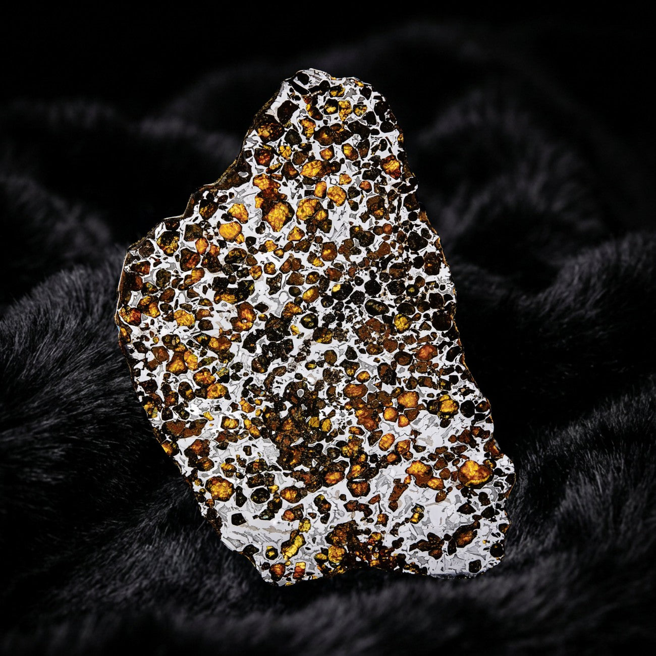 Sericho meteorite, macro detail